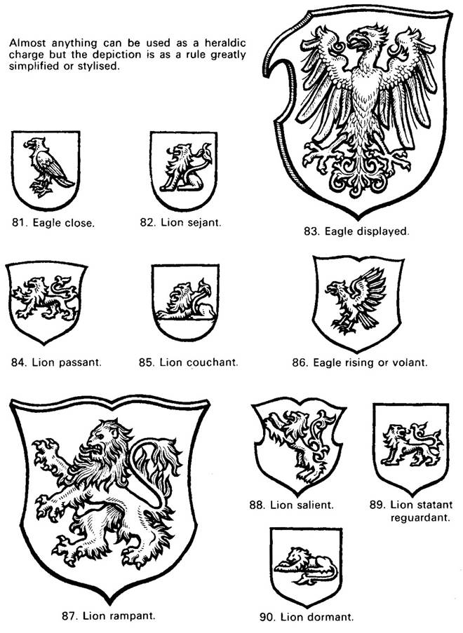 volborth 011
