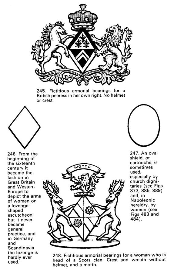 Volborth 020